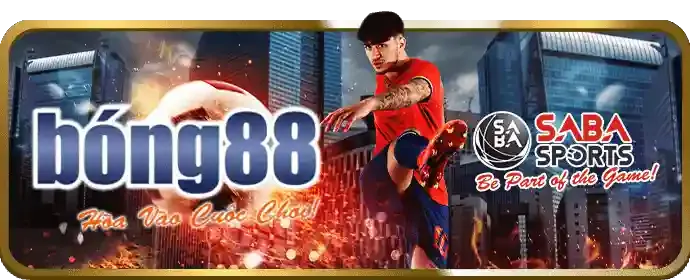 Biểu đồ tỷ lệ cược cạnh tranh
